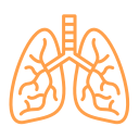 Pulmonology