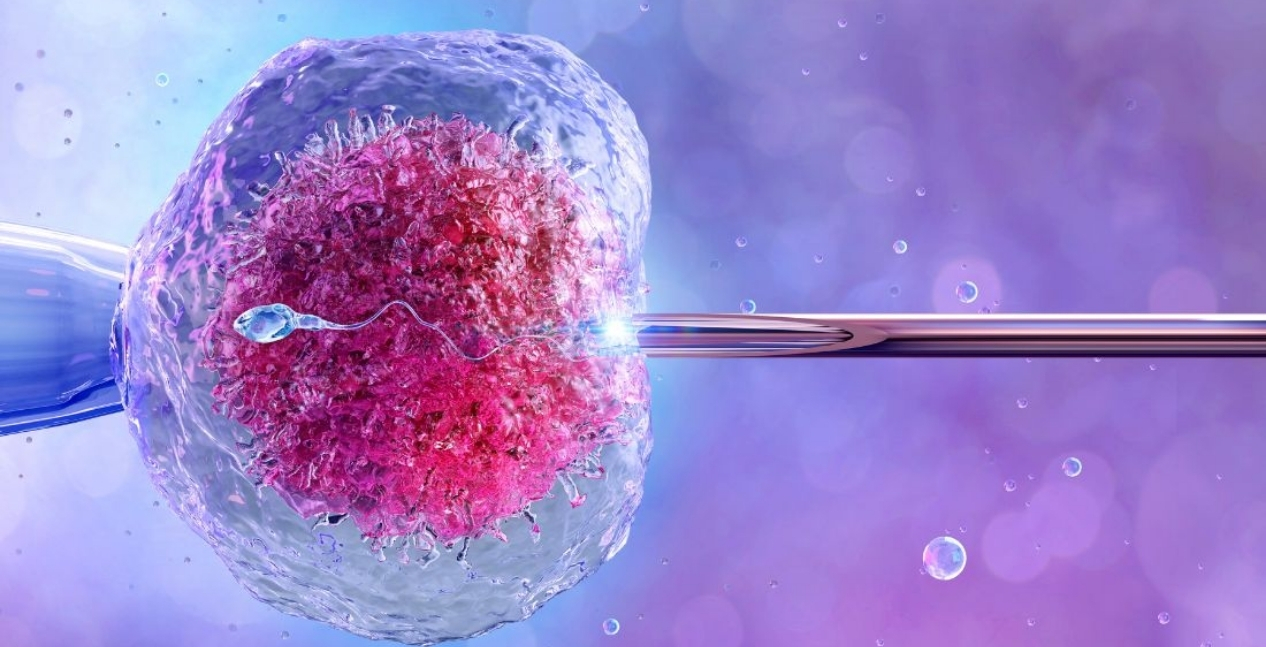 IVF Specialist at KK Care Hospital