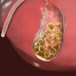 WhatsApp Image 2025 09 04 at 14 26 06 150x150