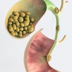 WhatsApp Image 2025 09 04 at 14 26 07