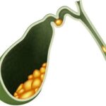 WhatsApp Image 2025 09 04 at 14 26 09 150x150