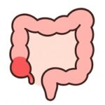 WhatsApp Image 2025 09 04 at 17 53 04 1 150x150