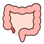 WhatsApp Image 2025 09 04 at 17 53 05 1 150x150