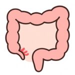 WhatsApp Image 2025 09 04 at 17 53 05 150x150