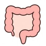 WhatsApp Image 2025 09 04 at 17 53 06 150x150