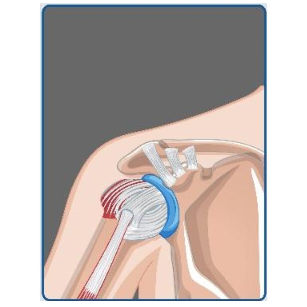 WhatsApp Image 2025 09 05 at 12 55 18 1 1024x1024